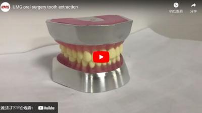 UMG Cirurgia Oral Extração Dentária
    robot